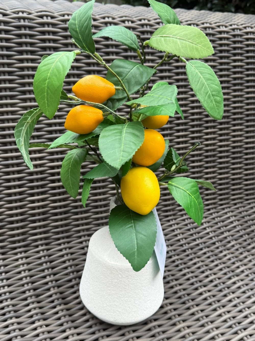 Martha Stewart Artificial Lemon Tree - NWT